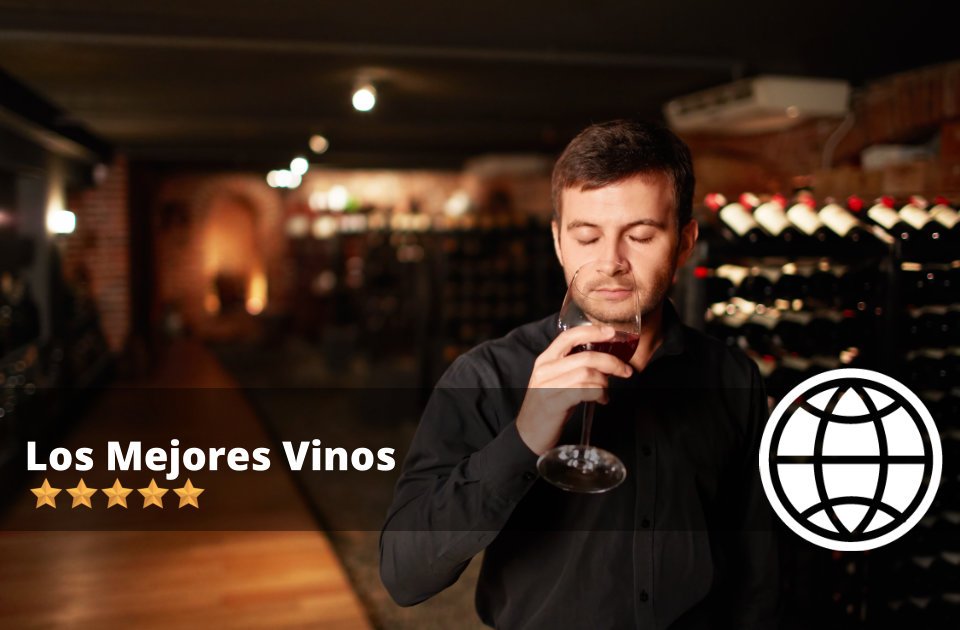 Los Mejores Vinos