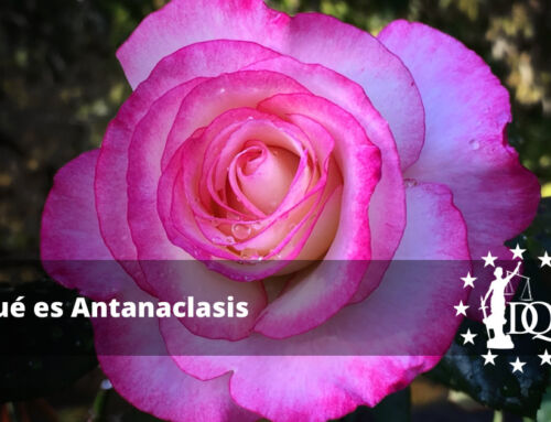 Qué es Antanaclasis. Definición y Ejemplos