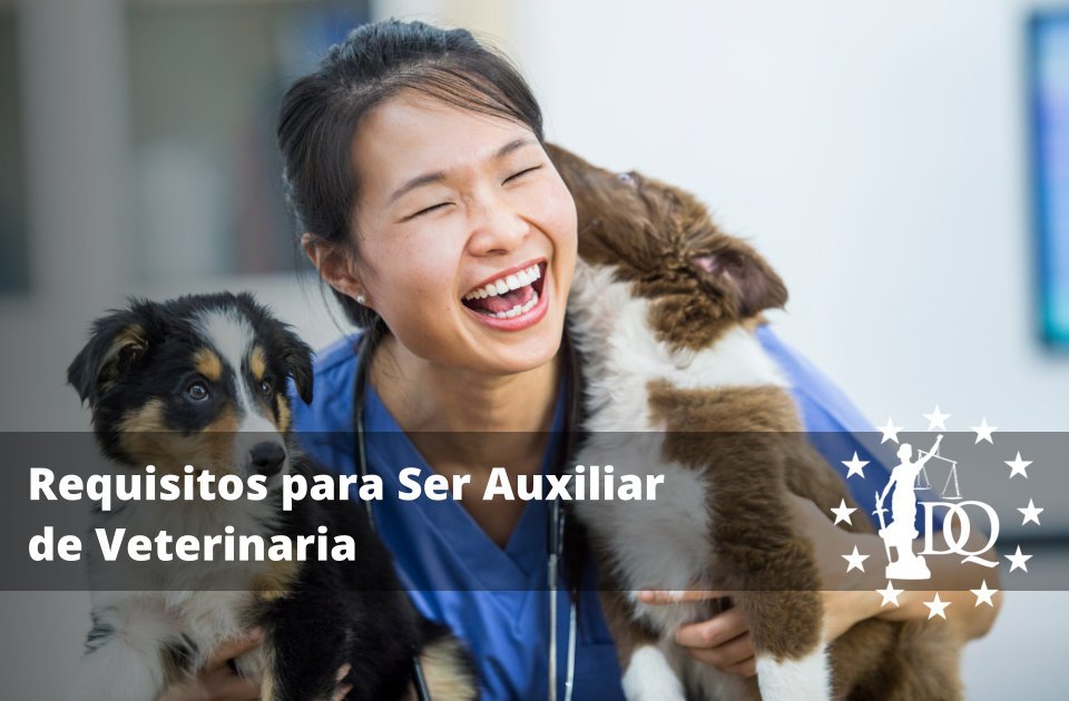 Requisitos para Ser Auxiliar de Veterinaria