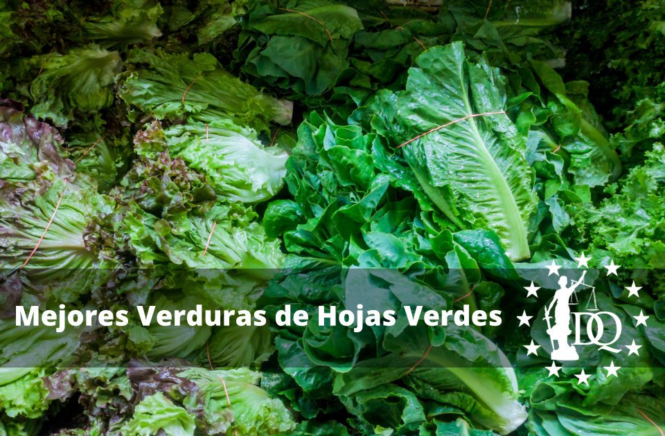 Mejores Verduras de Hojas Verdes