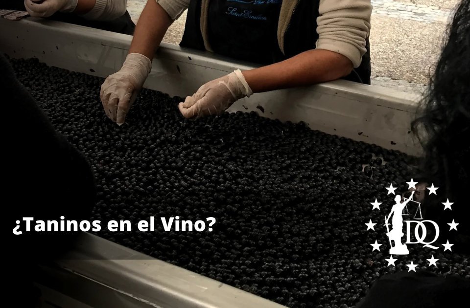 Taninos en el Vino