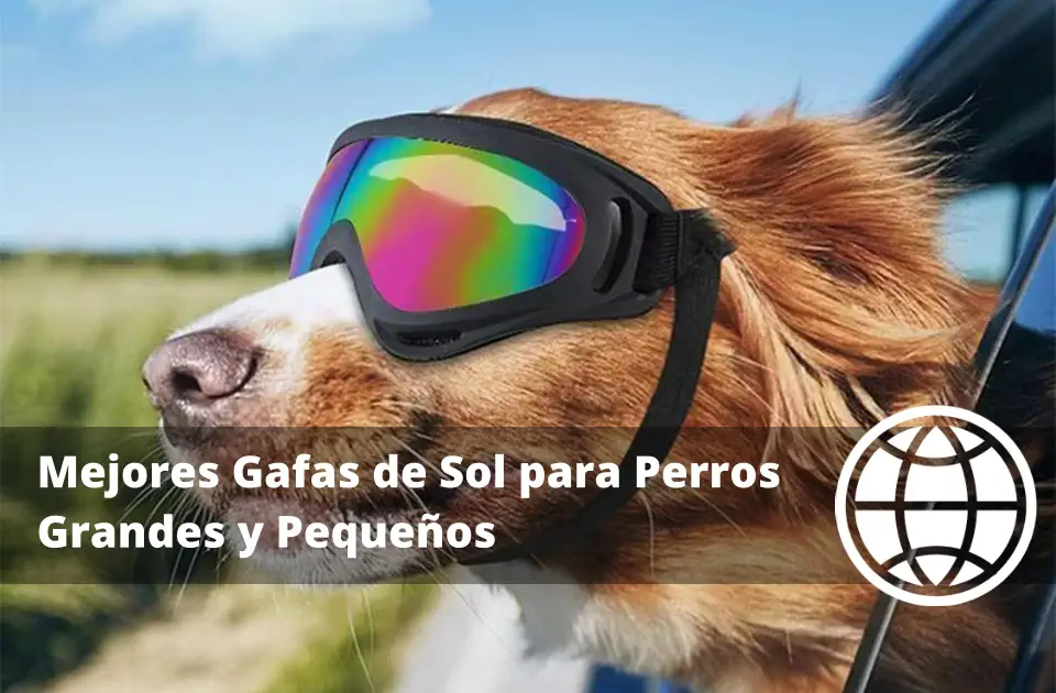 Mejores Gafas de Sol para Perros