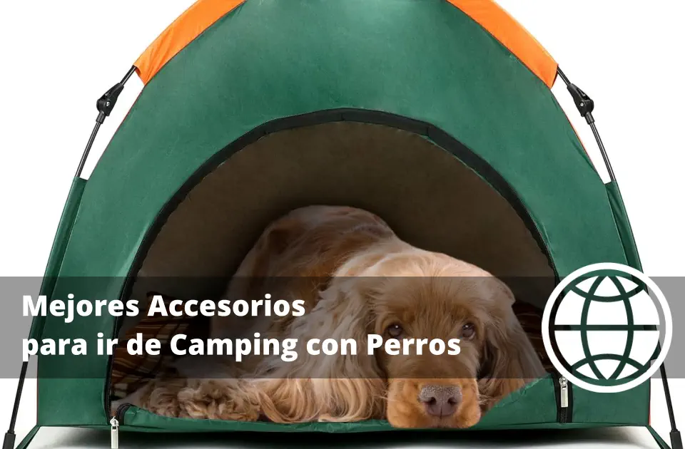 Mejores Accesorios para ir de Camping con Perros