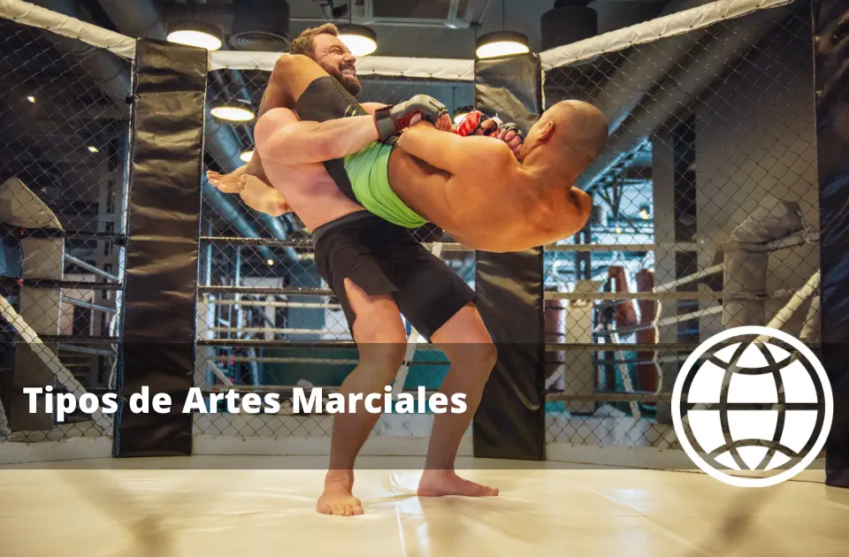 Tipos de Artes Marciales